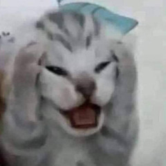 bosetwayn