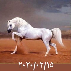 Abo Deeb
