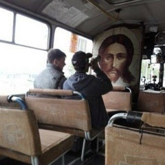 only rotten fruits grow in my garden