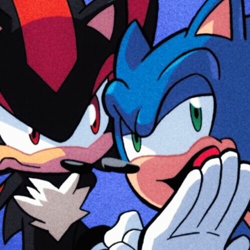 Sonic and Shadow!