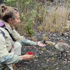 Dazzalina Raydiaance