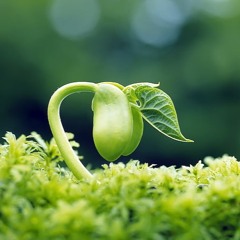 Not A Moment To Lose