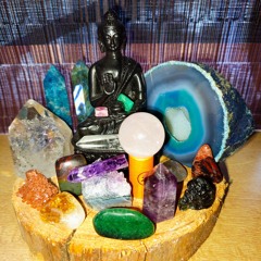 ☝️🌲🛸forest