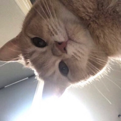 성지훈