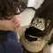 @Bandobaby (t.me/bandobabys) #sg