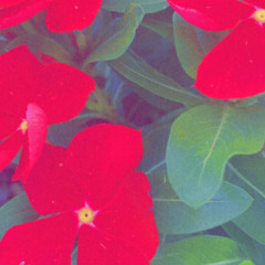 Goddesssss🌊🌗💫