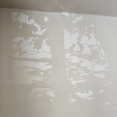 3s