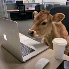 𝓣𝓱𝓪𝓷𝓱  𝓚𝓱𝓪𝓷𝓰