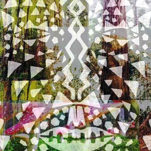 The Sun Is In Your Eyes - PROXIMA ALMASTY