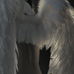 fallen angel