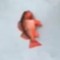 MF FISH