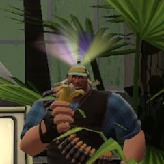 heavyfortress2009