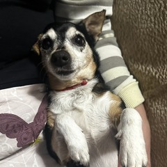 Никита Костенко