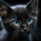 Z da cat