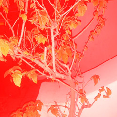 user1312