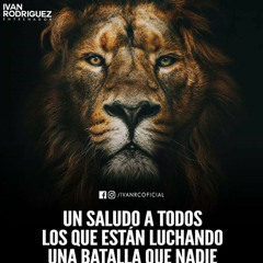 WillFredo95