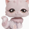 suso
