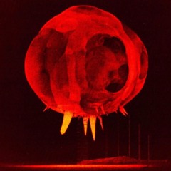 "Mach:Stem:Bassilica"