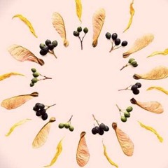 Inspired Living Meditations