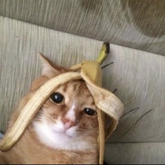 makkme