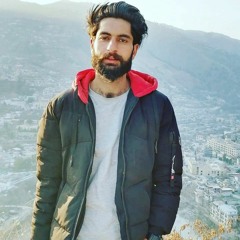 Ali Awan Kashmiri