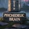 Psychedelic Brain