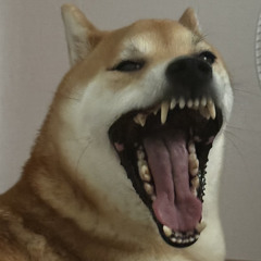 gako