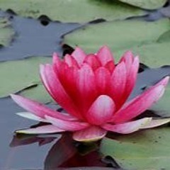 MentalHealthRevival.org
