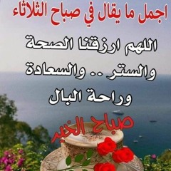 Shazly Ahmed