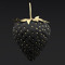 vahid.nazari