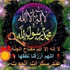 ام محمد المصري