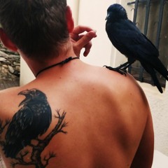 AcidCorvus