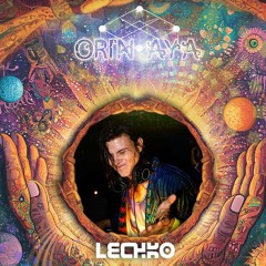 It's a psytrance party Morty!