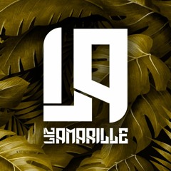 liz amarille