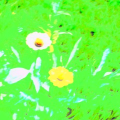 - Wave Beat - Zero Black Ether I’m a Creator. !