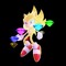 Super Sonic's Time