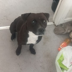 Abbie