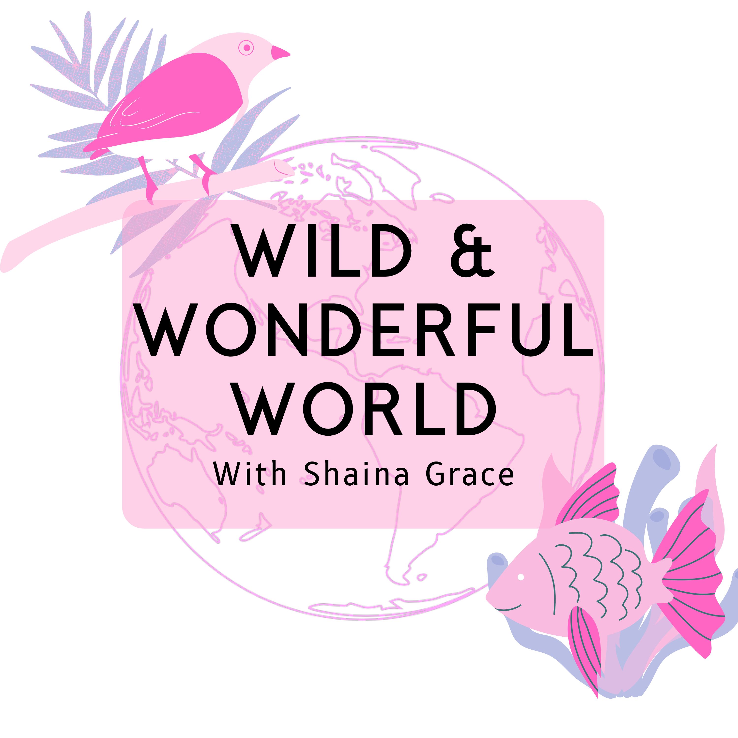 Wild Wonderful World Podcast