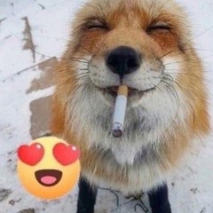 ankelxp