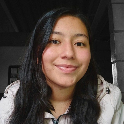 Luisa Bermúdez Valderrama’s avatar