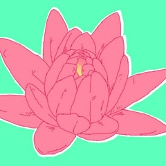 c h i l l o t u s