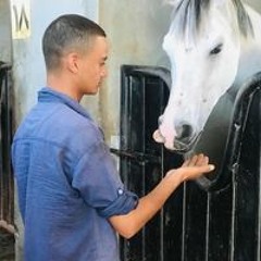 محمود الناقورى