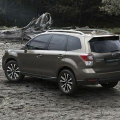 CowboyJustinForrester17