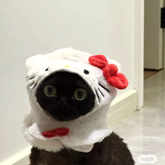 iiyo