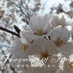 *Fragment of Time Project*