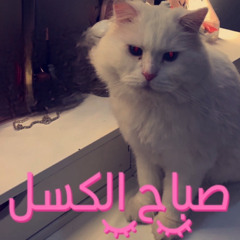 يوسف عبدالله العنزي