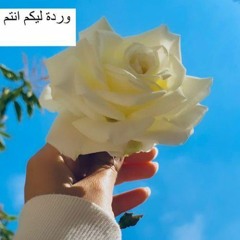 Maha Mohamed