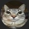 máté_cataking8