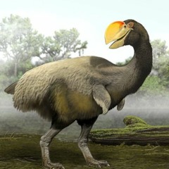 Demonik Duck