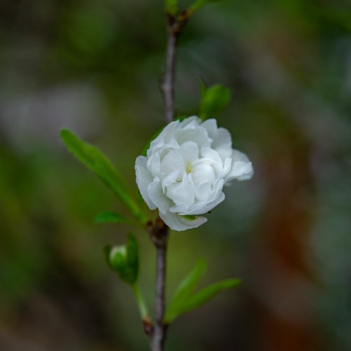 Ăn Năn